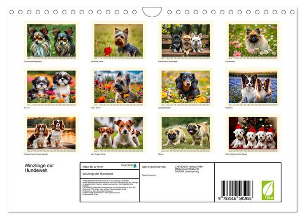 Produktbild: Winzlinge der Hundewelt (Wandkalender 2026 DIN A4 quer), CALVENDO Monatskalender