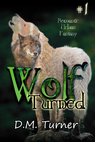 Produktbild: Turned (Wolf, #1)