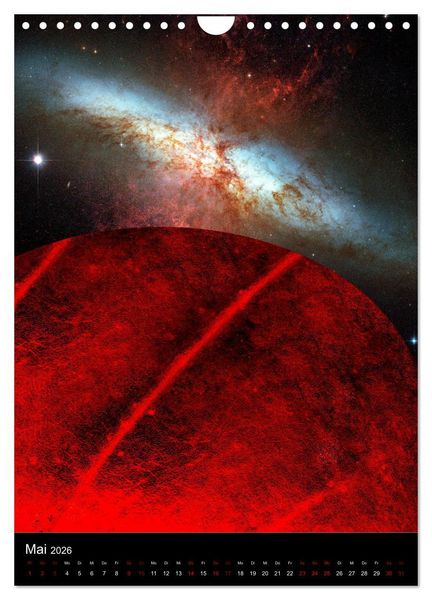 Produktbild: Mikrokosmos &ndash; Makrokosmos (Wandkalender 2026 DIN A4 hoch), CALVENDO Monatskalender