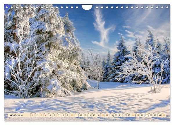 Produktbild: Harz - Urlaub (Wandkalender 2026 DIN A4 quer), CALVENDO Monatskalender