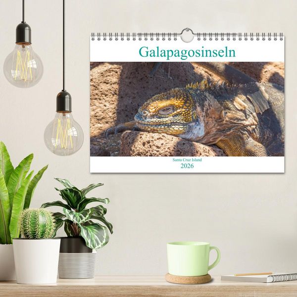 Produktbild: Die Galapagosinseln - Santa Cruz Island (Wandkalender 2026 DIN A4 quer), CALVENDO Monatskalender