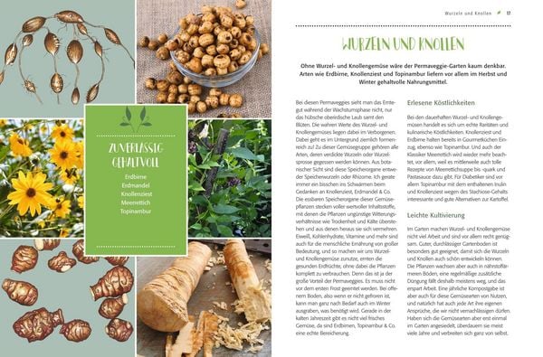 Produktbild: Gem&uuml;se forever!