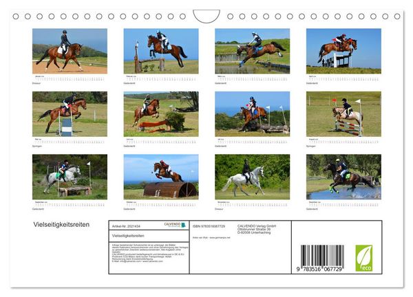Produktbild: Vielseitigkeitsreiten (Wandkalender 2026 DIN A4 quer), CALVENDO Monatskalender