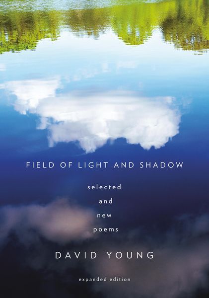 Produktbild: Field of Light and Shadow