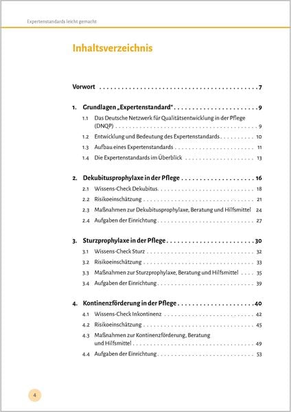 Produktbild: Expertenstandards leicht gemacht