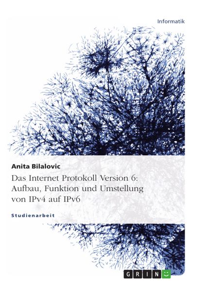 Produktbild: IPv6 - Aufbau, Funktion und Umstellung von IPv4 auf IPv6