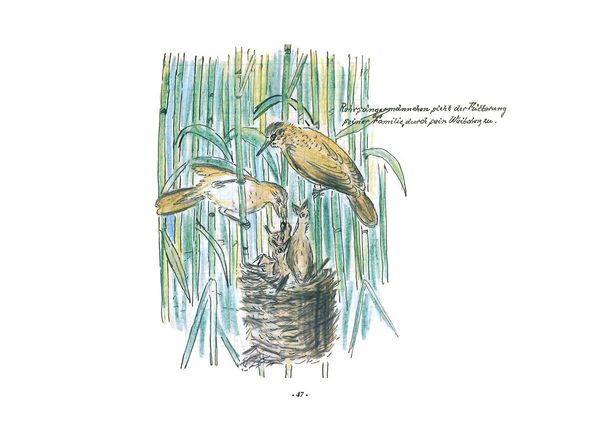 Produktbild: Das Vogel-Album. 1950