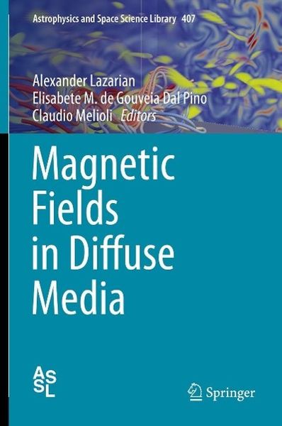 Produktbild: Magnetic Fields in Diffuse Media