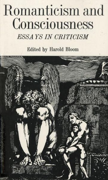 Produktbild: Romanticism and Consciousness