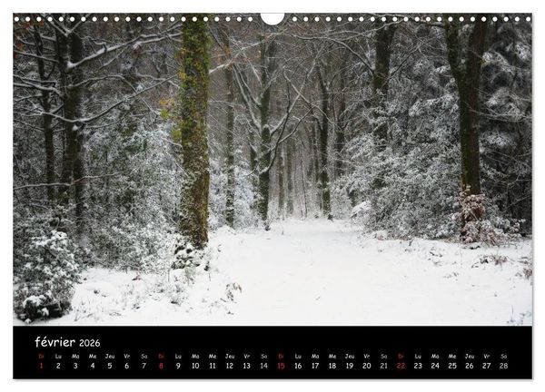 Produktbild: BROCELIANDE, la for&ecirc;t (Calendrier mural 2026 DIN A3 vertical), CALVENDO calendrier mensuel