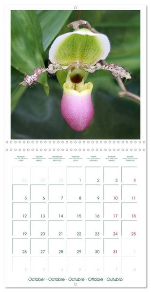 Produktbild: Orchid&eacute;es fantastiques (Calendrier mural carr&eacute; 2026 30x30 cm) Calendrier double avec une page pour vos prises de notes