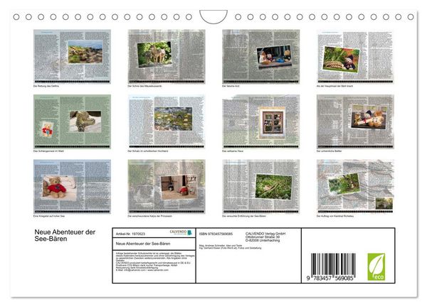 Produktbild: Neue Abenteuer der See-B&auml;ren (Wandkalender 2026 DIN A4 quer), CALVENDO Monatskalender