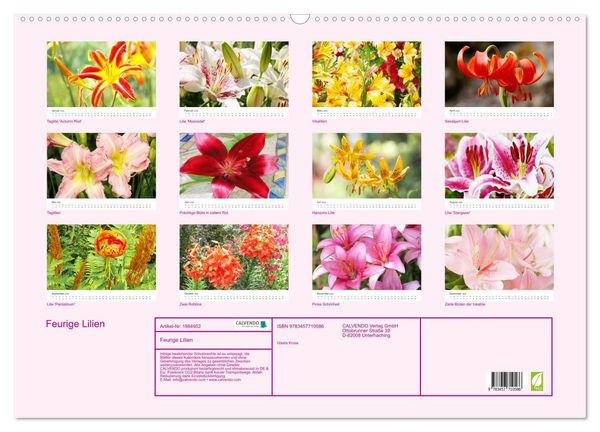 Produktbild: Feurige Lilien (Wandkalender 2026 DIN A2 quer), CALVENDO Monatskalender