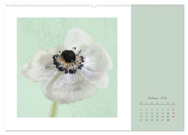 Produktbild: Bl&uuml;tentr&auml;ume (hochwertiger Premium Wandkalender 2026 DIN A2 quer), Kunstdruck in Hochglanz