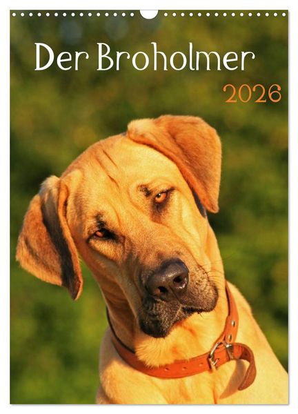 Der Broholmer (Wandkalender 2026 DIN A3 hoch), CALVENDO Monatskalender