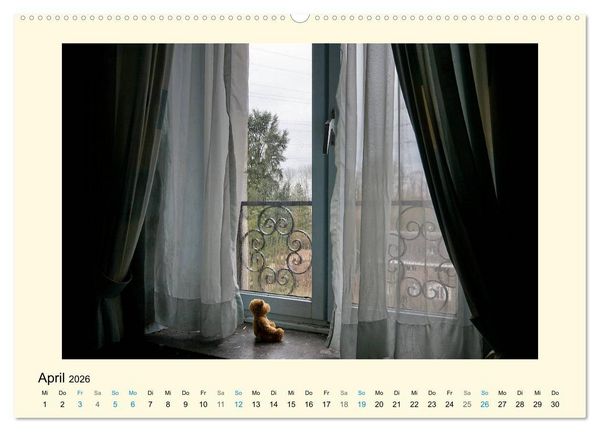 Produktbild: Herr B&auml;r urban explorer (Wandkalender 2026 DIN A2 quer), CALVENDO Monatskalender