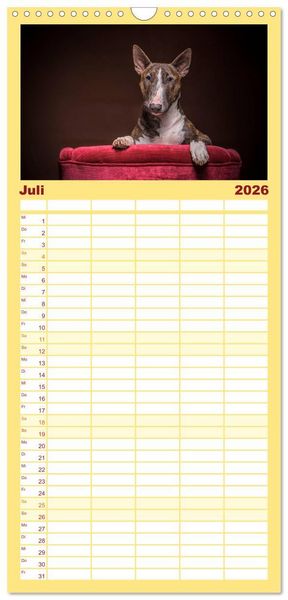 Produktbild: Familienplaner 2026 - Bullterrier mit 5 Spalten (Wandkalender, 21 x 45 cm) CALVENDO
