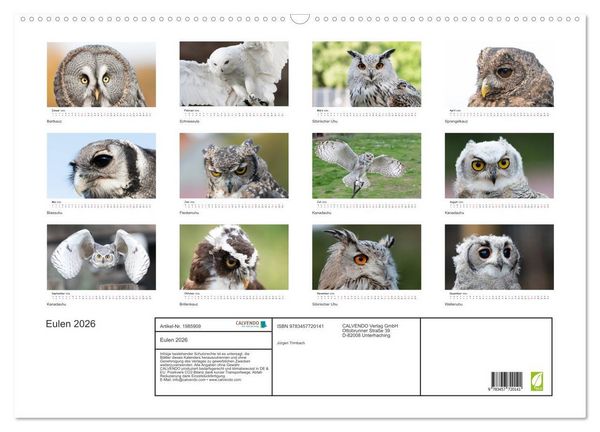 Produktbild: Eulen 2026 (Wandkalender 2026 DIN A2 quer), CALVENDO Monatskalender