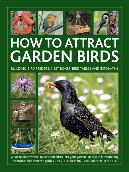 Produktbild: How to Attract Garden Birds
