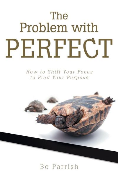 Produktbild: The Problem with Perfect