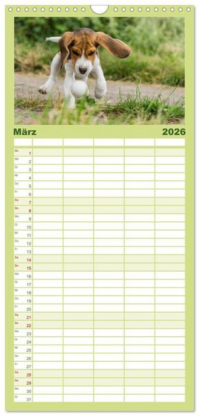 Produktbild: Familienplaner 2026 - Beaglebabys auf Entdeckungstour mit 5 Spalten (Wandkalender, 21 x 45 cm) CALVENDO
