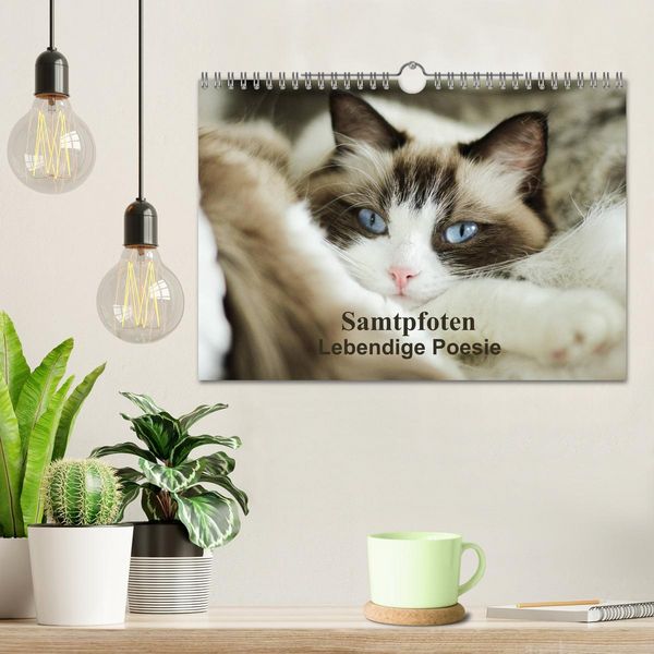 Produktbild: Samtpfoten Lebendige Poesie (Wandkalender 2025 DIN A4 quer), CALVENDO Monatskalender