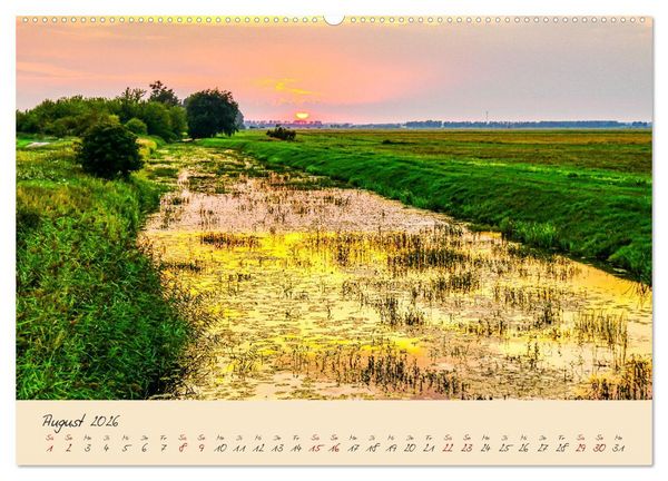 Produktbild: Friedl&auml;nder Gro&szlig;e Wiese (hochwertiger Premium Wandkalender 2026 DIN A2 quer), Kunstdruck in Hochglanz