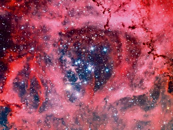 Produktbild: Rosettennebel NGC 2244 (Puzzle)