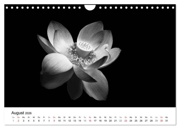 Produktbild: Blumen 2026, Schwarz-Wei&szlig; (Wandkalender 2026 DIN A4 quer), CALVENDO Monatskalender