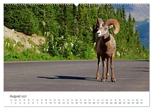 Produktbild: Icefields Parkway in Kanada (Wandkalender 2027 DIN A2 quer), CALVENDO Monatskalender