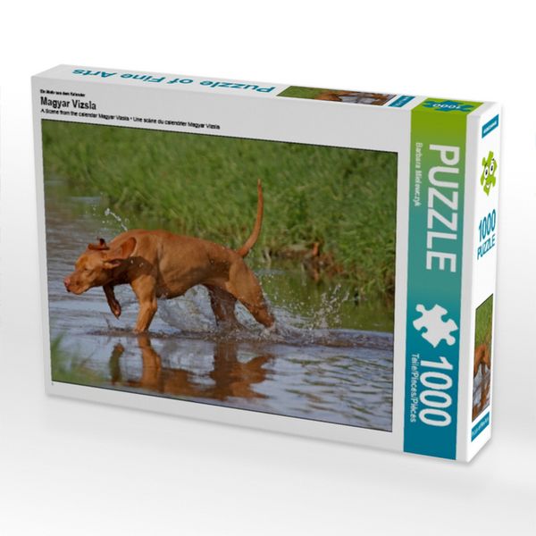 CALVENDO Puzzle Jagdhund Magyar Vizsla | 1000 Teile Lege-Größe 64x48cm Foto-Puzzle für glückliche Stunden