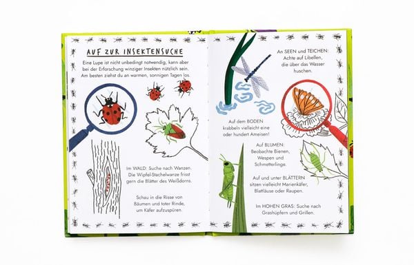 Produktbild: Hallo Insekten
