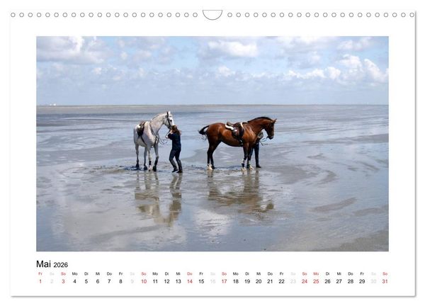 Produktbild: Die sch&ouml;ne Insel Neuwerk (Wandkalender 2026 DIN A3 quer), CALVENDO Monatskalender
