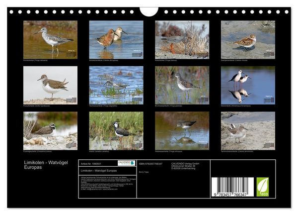 Produktbild: Limikolen - Watv&ouml;gel Europas (Wandkalender 2026 DIN A4 quer), CALVENDO Monatskalender