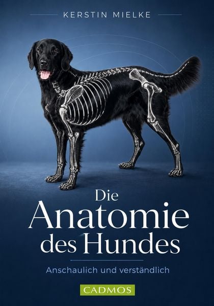 Produktbild: Die Anatomie des Hundes