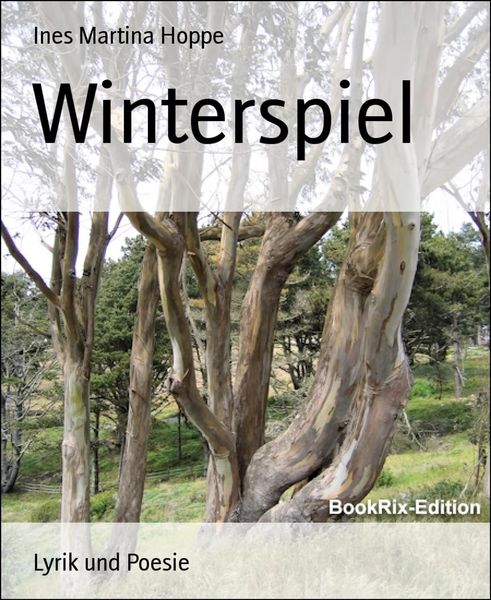 Produktbild: Winterspiel