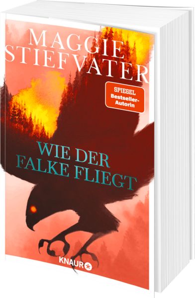 Produktbild: Wie der Falke fliegt