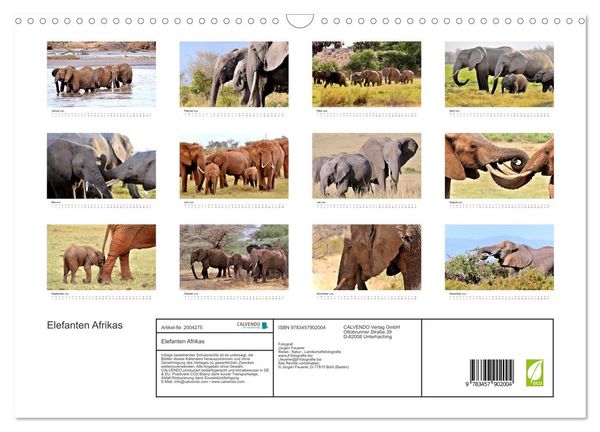 Produktbild: Elefanten Afrikas (Wandkalender 2026 DIN A3 quer), CALVENDO Monatskalender