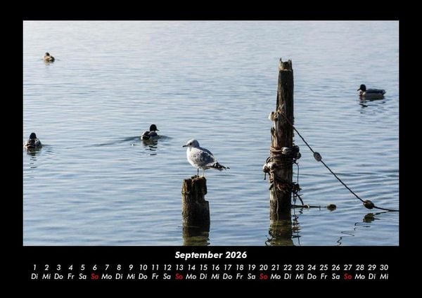 Produktbild: Seeblick 2026 Fotokalender DIN A3