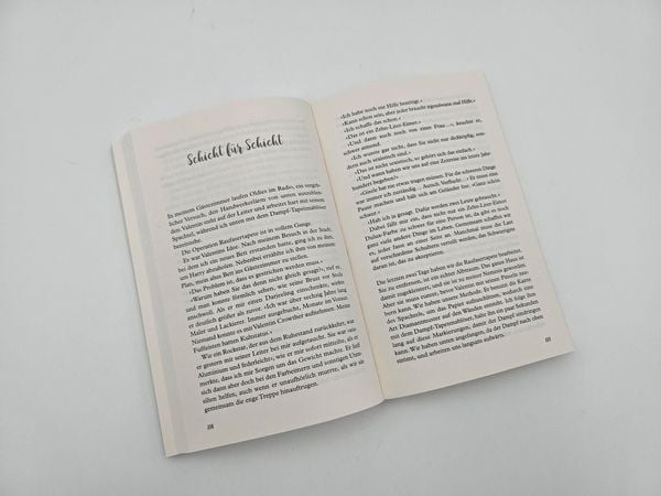 Produktbild: Lieber mit dem Kopf durch die Wand als gar kein Durchblick