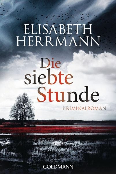 Produktbild: Die siebte Stunde