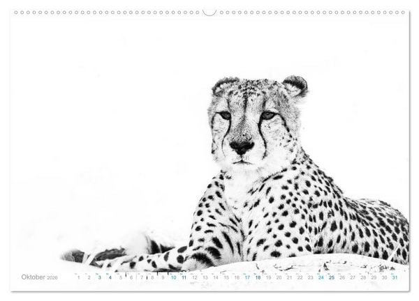 Produktbild: AFRIKA - Schwarz-weiss Fotografien im modernen "High Key" Look (hochwertiger Premium Wandkalender 2026 DIN A2 quer), Kunstdruck in Hochglanz
