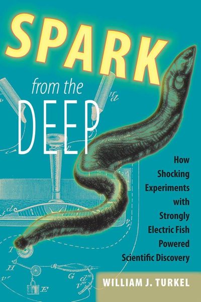 Produktbild: Spark from the Deep
