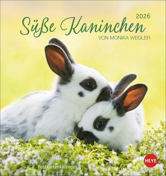 Produktbild: S&uuml;&szlig;e Kaninchen Postkartenkalender 2026