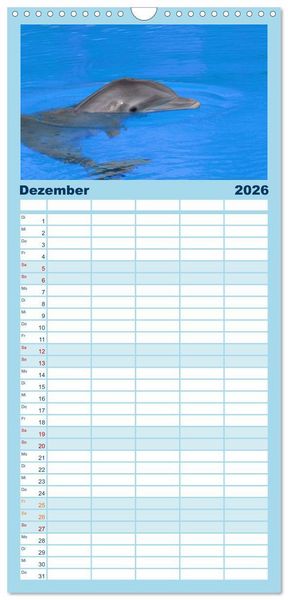 Produktbild: Familienplaner 2026 - Delfine - L&auml;chelnde Intelligenz mit 5 Spalten (Wandkalender, 21 x 45 cm) CALVENDO