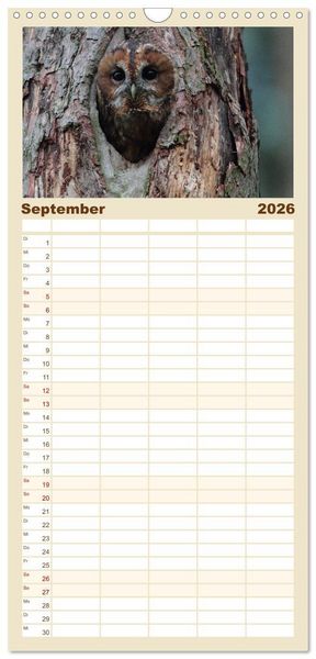 Produktbild: Familienplaner 2026 - Heimische Eulen und Greife mit 5 Spalten (Wandkalender, 21 x 45 cm) CALVENDO