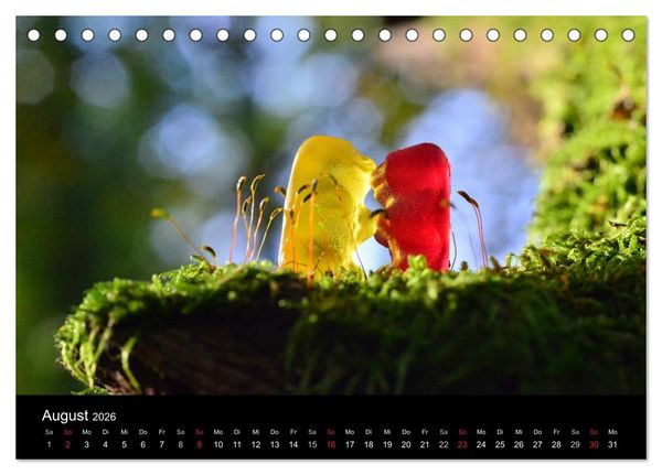 Produktbild: Die Welt der Fruchtgummis (Tischkalender 2026 DIN A5 quer), CALVENDO Monatskalender