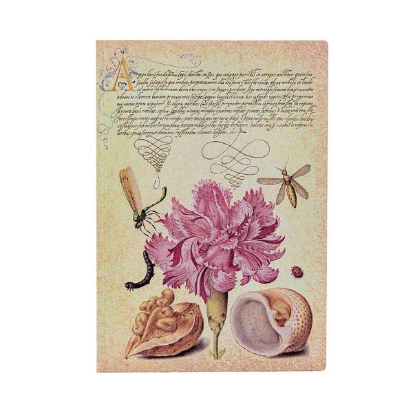 Produktbild: Softcover Notizbuch, Rosa Nelke, Midi, Unliniert