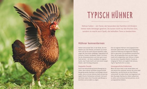Produktbild: Hühner halten