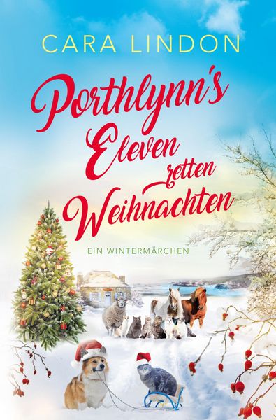 Produktbild: Porthlynn's Eleven retten Weihnachten